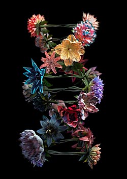 Temoignage-Snark-Art
